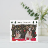 Kerstmis van Chihuahua Feestdagenkaart (Staand voorkant)