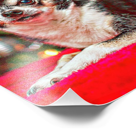 Kerstmis van Chihuahua Foto Afdruk (Hoek)