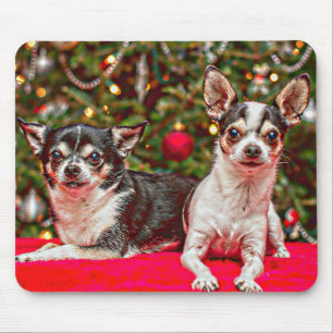 Kerstmis van Chihuahua Muismat
