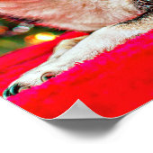 Kerstmis van Chihuahua Poster (Hoek)