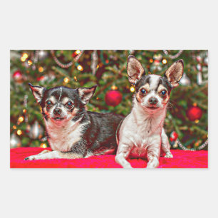 Kerstmis van Chihuahua Rechthoekige Sticker