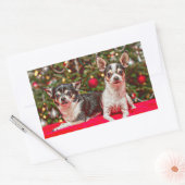 Kerstmis van Chihuahua Rechthoekige Sticker (Envelop)