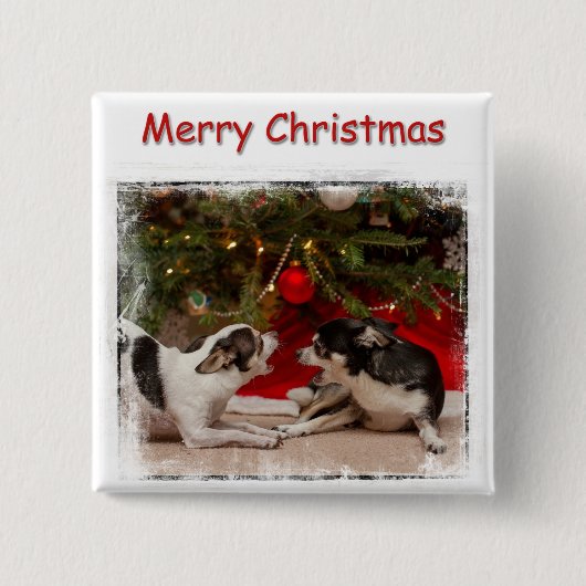 Kerstmis van Chihuahua Vierkante Button 5,1 Cm (Voorkant)