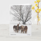 Kerstmis van Clydesdale Kaart (Gele Bloem)