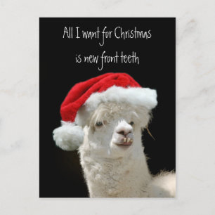 Kerstmis van de alpaca feestdagenkaart