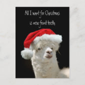 Kerstmis van de alpaca feestdagenkaart (Voorkant)