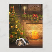 Kerstmis van de collie feestdagenkaart (Voorkant)