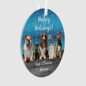 Kerstmis van de dierenarts van de honden ornament (voorkant)