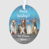Kerstmis van de dierenarts van de honden ornament (voorkant)