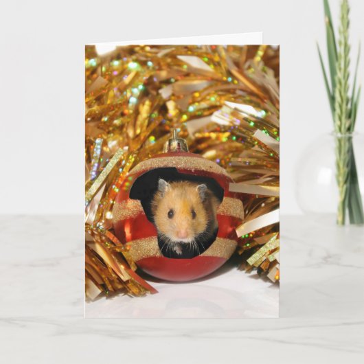Kerstmis van de hamster feestdagen kaart (Voorkant)