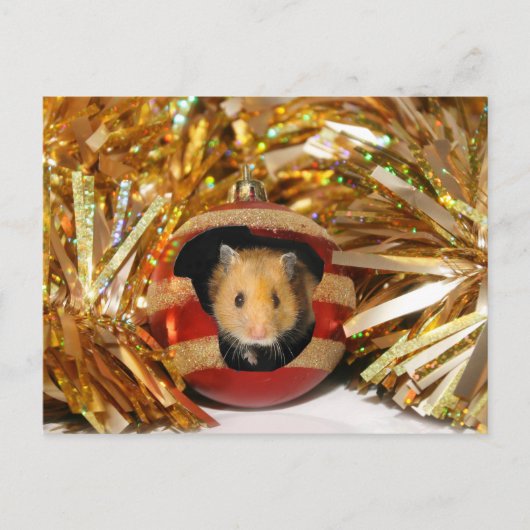 Kerstmis van de hamster feestdagenkaart (Voorkant)