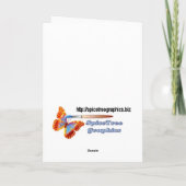 Kerstmis van de hulst en van de Duif Feestdagen Kaart (Achterkant)