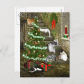 Kerstmis van de kat feestdagenkaart (Voorkant / Achterkant)