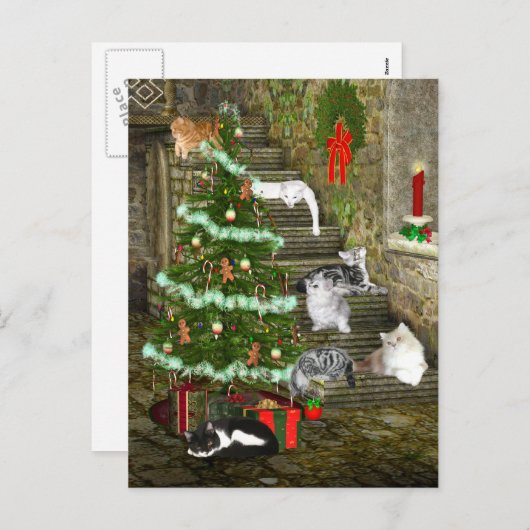 Kerstmis van de kat feestdagenkaart (Voorkant / Achterkant)