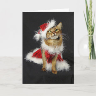 Kerstmis van de Kat van de Helper van de kerstman Feestdagen Kaart