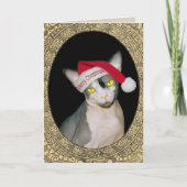 Kerstmis van de Kerstman van de Kat van Sphynx Kaart (Voorkant)