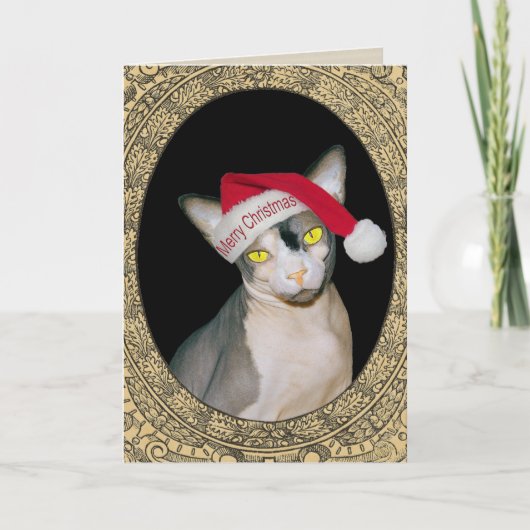 Kerstmis van de Kerstman van de Kat van Sphynx Kaart (Voorkant)