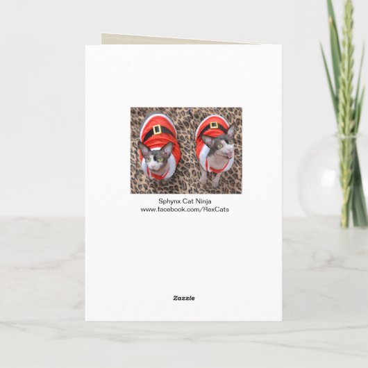 Kerstmis van de Kerstman van Ninja van de Kat van Kaart (Achterkant)