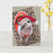 Kerstmis van de Kerstman van Ninja van de Kat van Kaart (Gele Bloem)