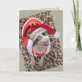 Kerstmis van de Kerstman van Ninja van de Kat van Kaart