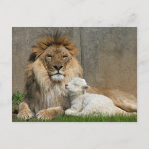 Kerstmis van de leeuw en van het lam feestdagenkaart