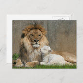 Kerstmis van de leeuw en van het lam feestdagenkaart (Voorkant / Achterkant)