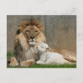 Kerstmis van de leeuw en van het lam feestdagenkaart (Voorkant)