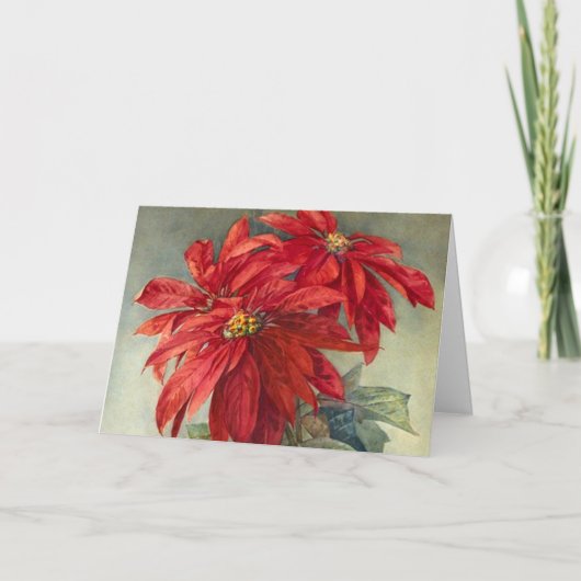 Kerstmis van de  Poinsettia Feestdagen Kaart (Voorkant)