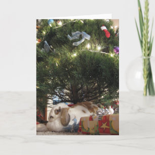 Kerstmis van de schat feestdagen kaart