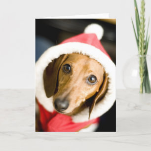 Kerstmis van de tekkel feestdagen kaart
