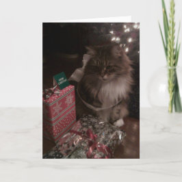 Kerstmis van de Wasbeer van Maine Feestdagen Kaart