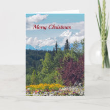 Kerstmis van Denali 97