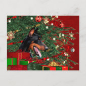Kerstmis van Doberman pinscher Feestdagenkaart (Voorkant)