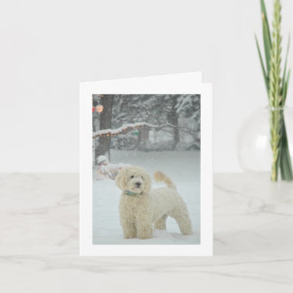 Kerstmis van Goldendoodle Feestdagen Kaart
