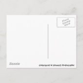 Kerstmis van Graffiti Feestdagenkaart (Achterkant)