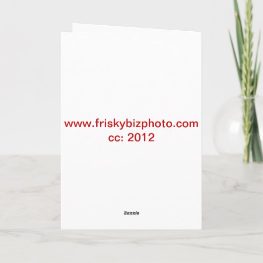 Kerstmis van Havanese Feestdagen Kaart (Achterkant)