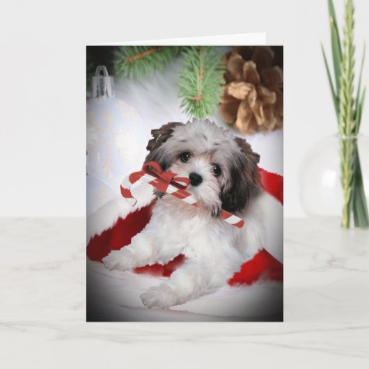 Kerstmis van Havanese Feestdagen Kaart (Voorkant)