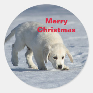 Kerstmis van het golden retriever ronde sticker