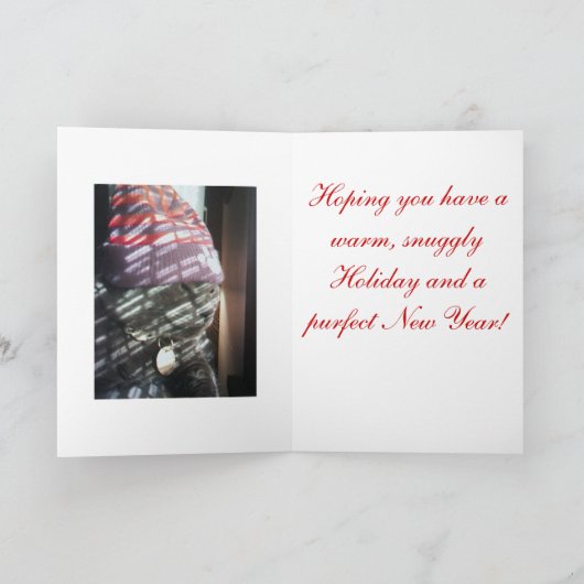 Kerstmis van het kat feestdagen kaart (Binnen)