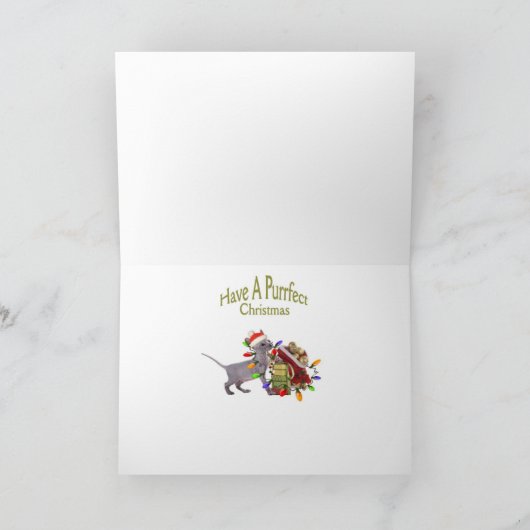 Kerstmis van het Katje van Sphynx met Kerstman Feestdagen Kaart (Binnen)