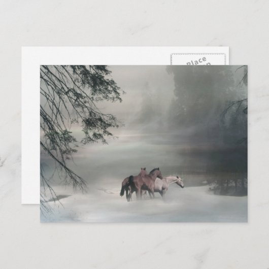 Kerstmis van het paard, de Briefkaarten van de (Voorkant / Achterkant)