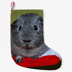 Kerstmis van het proefkonijn kleine kerstsok