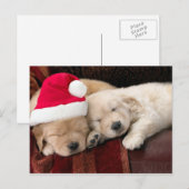 Kerstmis van het puppy feestdagenkaart (Voorkant / Achterkant)