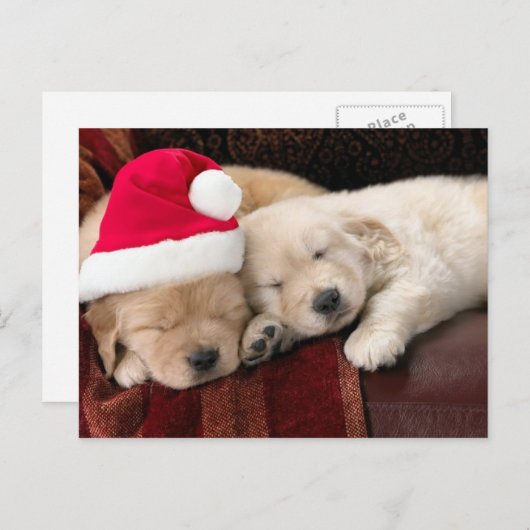 Kerstmis van het puppy feestdagenkaart (Voorkant / Achterkant)