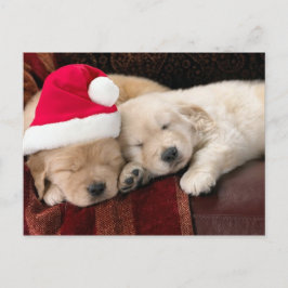 Kerstmis van het puppy feestdagenkaart