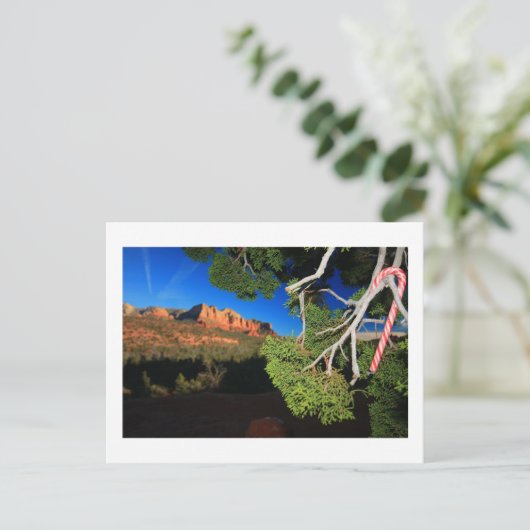 Kerstmis van het zuidwesten feestdagenkaart (Staand voorkant)