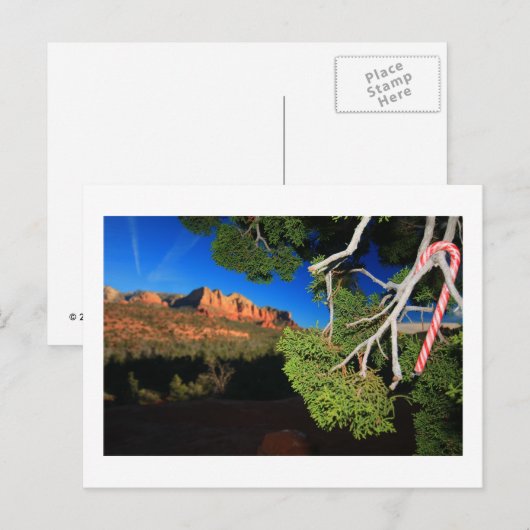 Kerstmis van het zuidwesten feestdagenkaart (Voorkant / Achterkant)