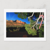 Kerstmis van het zuidwesten feestdagenkaart (Voorkant)