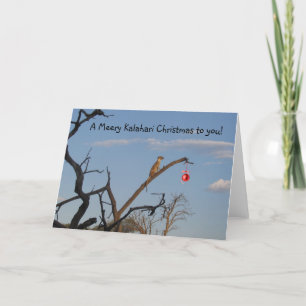 Kerstmis van Kalahari van Meery - Groeten Seaons Feestdagen Kaart