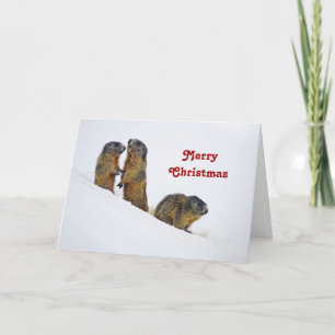 Kerstmis van marmotten feestdagen kaart
